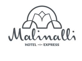 Malinalli Express，位于Apizaco的酒店