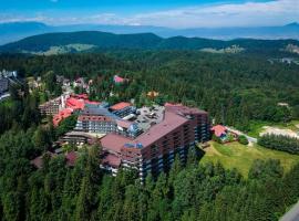 Poiana Brasov Alpin Executive Apartment，位于波亚纳布拉索夫的酒店