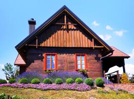 Kuća za odmor Stara hiža，位于Selnica的度假屋