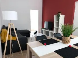 Grand appartement fonctionnel proche centre-ville