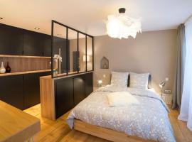 Appartement COSY Hypercentre，位于斯特拉斯堡The Covered Bridges Strasbourg附近的酒店