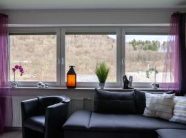 Apartment in Willingen near the ski area，位于Stryck的酒店