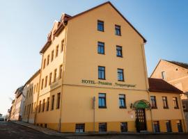 Hotel Pension Treppengasse Nr. 5，位于阿尔滕堡的酒店
