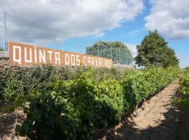 Quinta Dos Carvalhos，位于Vilarinho de Agrochão的酒店