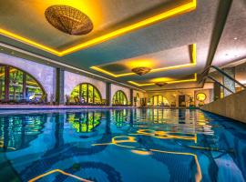 Budapest Airport Hotel Stáció Wellness & Konferencia，位于韦切什的酒店
