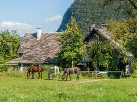 Charming blacksmith`s house @ Lake Bohinj