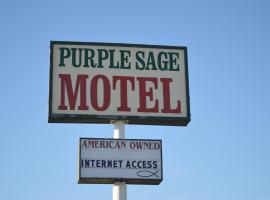 紫鼠尾草汽车旅馆，位于斯奈德的汽车旅馆