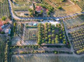 AGRiCAMPiNG POGGiO Ai PiNi WiNE CAMPiNG，位于切塔尔多的酒店