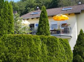 Ferienwohnung Ahrtalblick，位于辛齐希的酒店