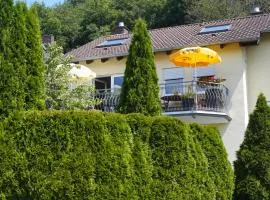 Ferienwohnung Ahrtalblick