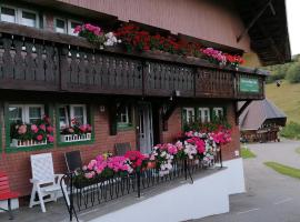 Schwarzwaldhaus Kathi，位于托特莫斯Herrenschwand Ski Lift附近的酒店