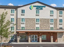 WoodSpring Suites Greenville Haywood Mall，位于格林维尔的酒店