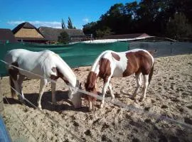 Ubytovanie na dedine