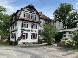 Hotel zur Köppe，位于巴德克洛斯特尔劳斯尼茨的酒店