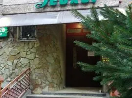 Гостьові квартири Геолог