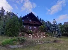 Dom Na Wzgórzu 479, The House on the hill