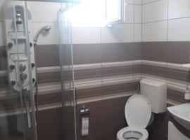 Andi Apartman，位于Pačir的酒店