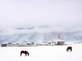 香格里拉老谢车马店国际青年旅舍，位于香格里拉的酒店