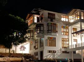 Vintage Village Inn，位于Kavudupelella的酒店