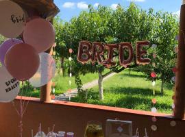 Апартаменти Annamari，位于Pavshyno的酒店