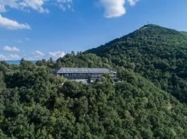 The Lynx Mountain Resort，位于弗洛里纳的酒店