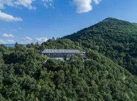 The Lynx Mountain Resort
