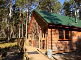 Cairngorm Lodges，位于阿博因的山林小屋