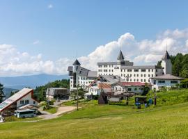 田川酒店，位于山之内町的酒店