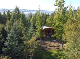 Bakkakot 1 - Cozy Cabins in the Woods，位于阿克雷里的山林小屋