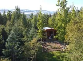 Bakkakot 1 - Cozy Cabins in the Woods