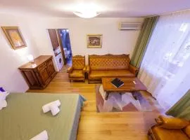 Apartament Family Rivulus 8