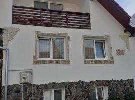 Casa de vacanta Alina Transfagarasan，位于克尔茨什瓦拉乡的酒店