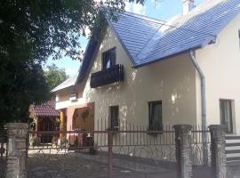 Pensiunea Casa Domniței Sucevița，位于苏恰维塔苏塞维塔修道院附近的酒店