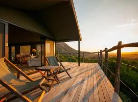 HillsNek Safari Camp – Amakhala Game Reserve