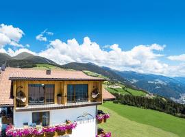 索奈恩霍夫旅馆，位于马兰扎的酒店