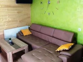 Apartman Golub Sevojno