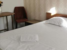 HABIBI，位于Paşcani的酒店