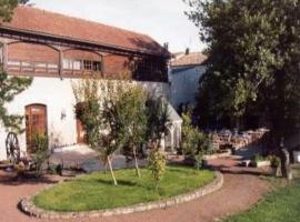 Logis Hôtel La Boule D'Or，位于巴伯济约的酒店