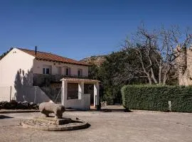 El Gavilán