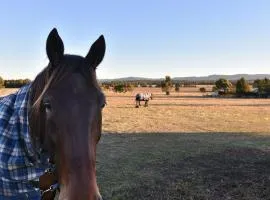 Clydesdale Cottage on Talga