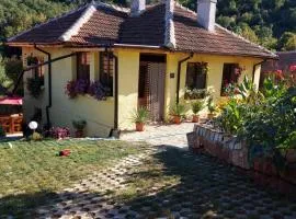 Guest House „Ivanovata house”