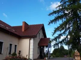 Pensjonat Agroturystyczny Pod Modrzewiem