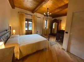 Bed and Breakfast La Volpe tra le Vigne