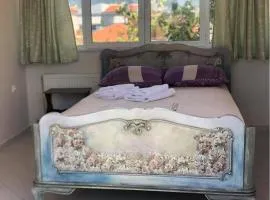 Art Suites Mesologgi