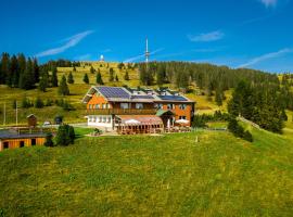 Berggasthof zur Todtnauer Hütte，位于费尔德伯格的酒店