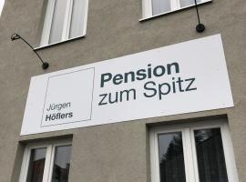 Pension zum Spitz，位于Seebenstein的旅馆