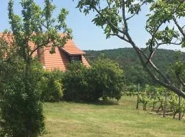 Holiday Home in Dörgicse Vineyard