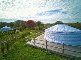 Glamping Yurts near Newquay