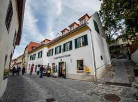 Smile Apartments zum Goldenen Strauß，位于杜伦斯坦的酒店