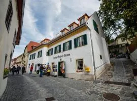 Smile Apartments zum Goldenen Strauß